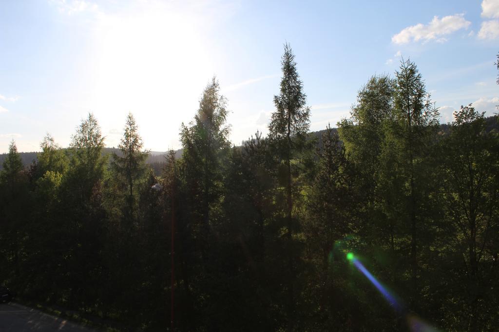 Apartman Relax So Saunou A Jakuzzi Namestovo Ruang foto